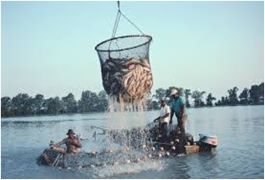 India's fisheries sector has received an investment of approximately ₹39,272 crore since 2015